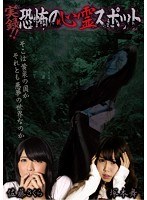 コレクション 塚本 舞 dvd