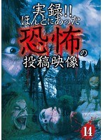 実録！！ほんとにあった恐怖の投稿映像 14 のパッケージ