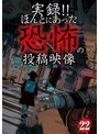 実録！！ほんとにあった恐怖の投稿映像 22