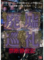 廃墟巡礼 禁断静寂記 のパッケージ