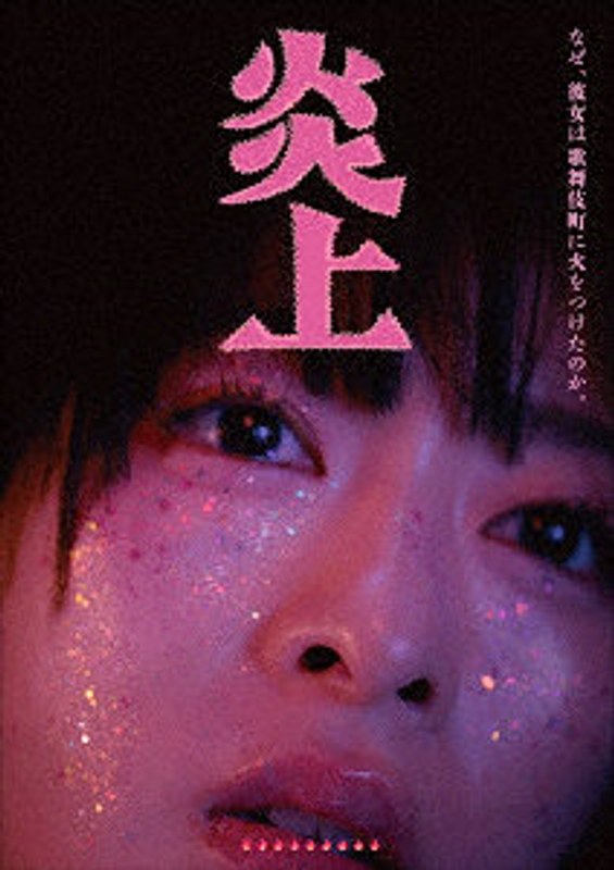 炎上 （ブルーレイディスク）