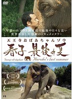 天王寺おばあちゃんゾウ 春子 最後の夏のポスター