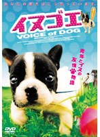 イヌゴエ イヌゴエ