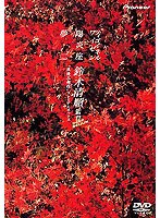 鈴木清順〈浪漫三部作〉プレミアムボックス のパッケージ
