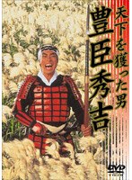 天下を獲った男 豊臣秀吉 のパッケージ
