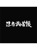 忍者武芸帳 のパッケージ