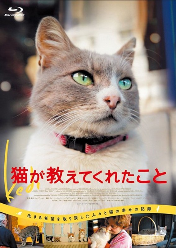 猫が教えてくれたこと （ブルーレイディスク）