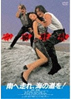 DMM.com [フィルム・ノワール ベスト・コレクション DVD-BOX Vol.4