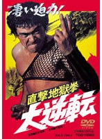 直撃地獄拳 大逆転 のパッケージ