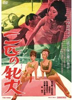 二匹の牝犬のポスター