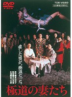 極道の妻たち のパッケージ