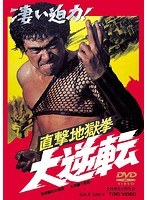 直撃地獄拳 大逆転 のパッケージ