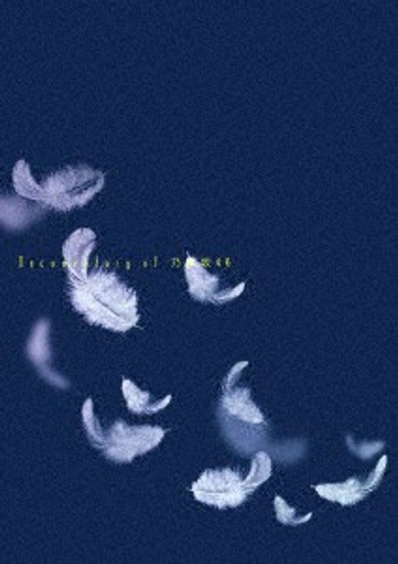 いつのまにか、ここにいる Documentary of 乃木坂46 コンプリートBOX （完全生産限定版） 8,554円