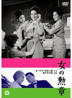 女の勲章 のパッケージ