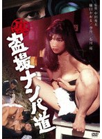 裏 盗撮ナンパ道のポスター