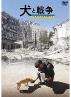 犬と戦争 ウクライナで私が見たこと