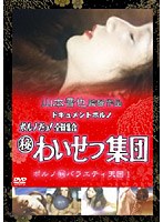 ドキュメントポルノ ポルノだョ！全員集合（秘）わいせつ集団 のパッケージ