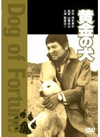 黄金の犬