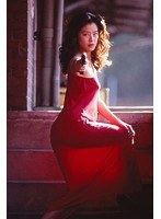 美蘭 ザ・リベンジャー のパッケージ