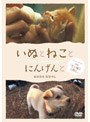 いぬとねことにんげんと ダイジェスト版 映画「犬と猫と人間と」