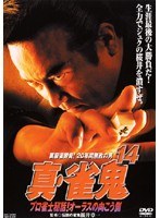 真・雀鬼 14 プロ雀士秘話！オーラスの向こう のパッケージ