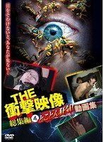 DMM.com [THE 衝撃映像] DVD通販