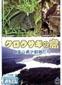 クロウサギの島 奄美の希少動物たち | teriffic.net