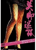 美脚迷路 のパッケージ
