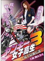 ヤンキー女子高生3 ヤンキー女子高生3
