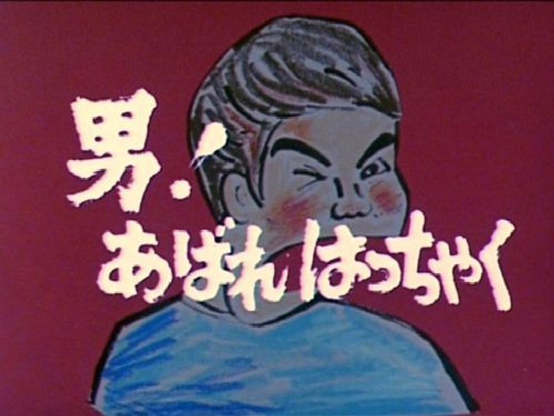 昭和の名作ライブラリー第4集 男！あばれはっちゃく DVD-BOX3 デジタルリマスター版 15,699円