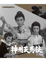 神州天馬侠のポスター