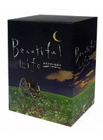ビューティフルライフ ふたりでいた日々 DVD-BOX のパッケージ