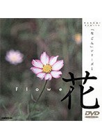 なごみシリーズ 花 のパッケージ