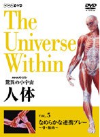 NHKスペシャル 驚異の小宇宙 人体 なめらかな連携プレー〈骨・筋肉〉 のパッケージ