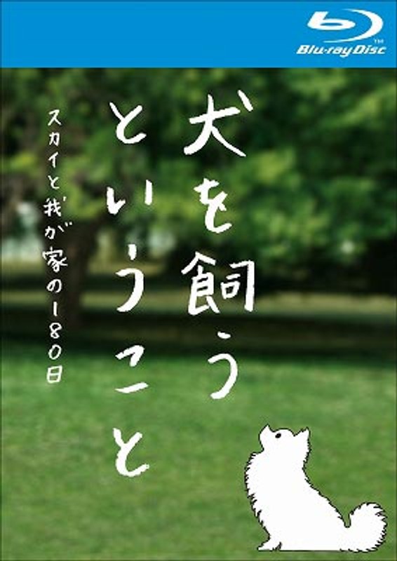 犬を飼うということ～スカイと我が家の180日～ -BOX 武田航平 錦戸亮 2022年最新海外 - 邦画・日本映画