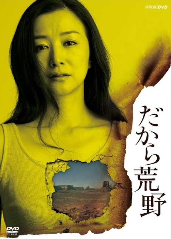 だから荒野 DVD-BOX 10,659円