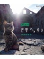 岩合光昭の世界ネコ歩き ブルガリア （ブルーレイディスク）