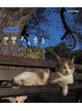 岩合光昭の世界ネコ歩き 田園の南仏 （ブルーレイディスク）