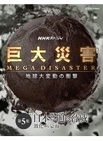 NHKスペシャル 巨大災害 MEGA DISASTER 地球大変動の衝撃 第5集 日本に迫る脅威 激化する豪雨 (ブルーレイディスク)