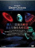 NHKスペシャル ディープ オーシャン 潜入！深海大峡谷 光る生物たちの王国 （ブルーレイディスク）