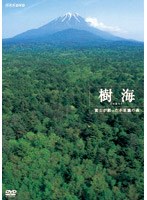 樹海 富士が創った不思議の森 のパッケージ