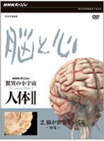 NHKスペシャル 驚異の小宇宙 人体II 脳と心 第2集 脳が世界をつくる〜知覚〜 のパッケージ