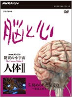 NHKスペシャル 驚異の小宇宙 人体II 脳と心 第5集 秘められた復元力〜発達と再生〜 のパッケージ
