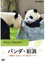 パンダ・彩浜（サイヒン） 和歌山・パンダ一家のルーツ