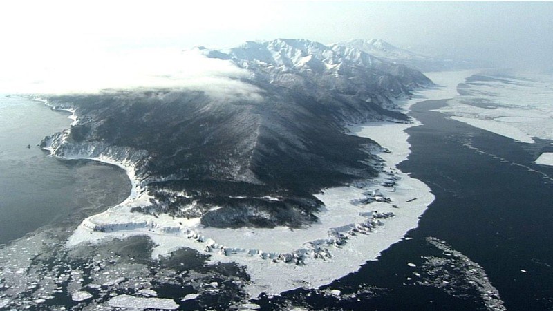 ワイルドライフ DVD-BOX IV