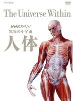 NHKスペシャル 驚異の小宇宙 人体 DVD BOX