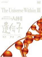 NHKスペシャル 驚異の小宇宙 人体III 遺伝子 DVD BOX