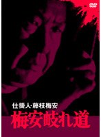 仕掛人 藤枝梅安 梅安岐れ道 のパッケージ