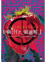 コドモドラゴン ONEMAN TOUR 「噛ミ付ク、最適解。」2024年4月26日（金） 【東京】東京キネマ倶楽部 LIVE DVD のパッケージ