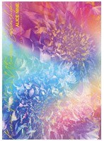 16th Anniversary Live『君ノ瞳ニ映ルハ絶景色』/アリス九號. のパッケージ